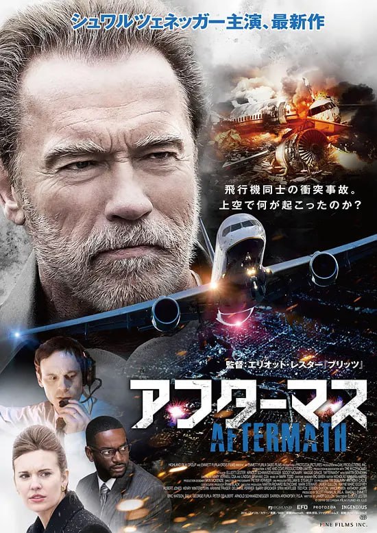 空难余波 Aftermath (2017)