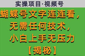 蝴蝶号文字连连看，无需任何技术，小白上手无压力
