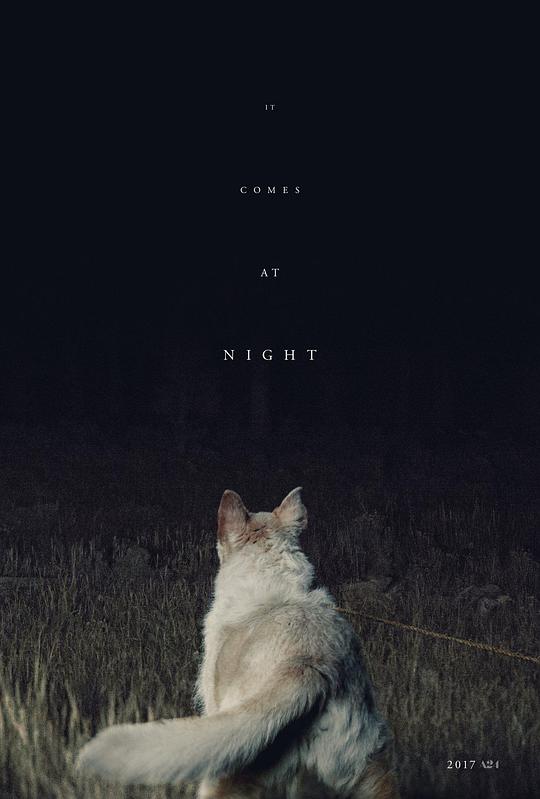 黑夜造访 It Comes at Night (2017) 1080p 原盘Remux 中文字幕 已刮削