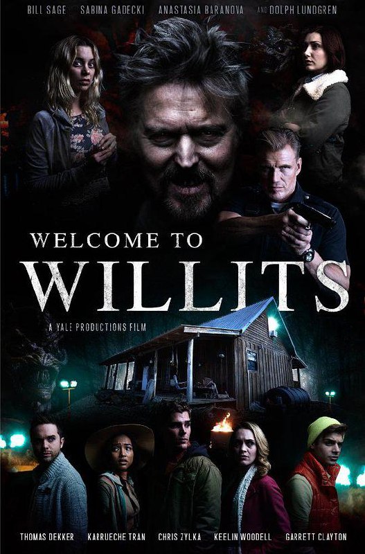 欢迎来到威利茨 Welcome to Willits (2016) 1080p 原盘Remux 中文字幕 已刮削