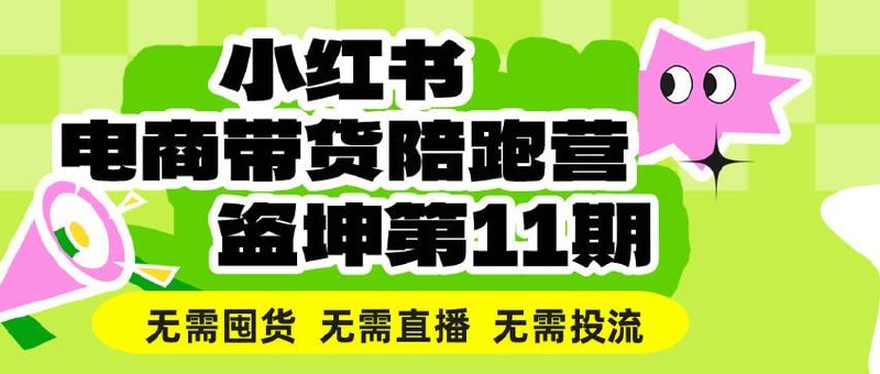 盗坤·小红书电商带货陪跑营（第十一期）