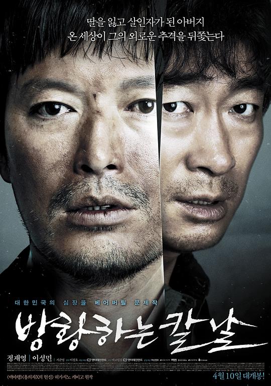 彷徨之刃 방황하는 칼날 (2014) 1080p 原盘Remux 中文字幕 已刮削