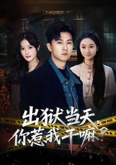 出狱当天你惹我干嘛 (62集) 王鹏&郑皓月 | 短剧