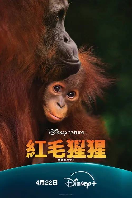 红毛猩猩(2026)4K HDR 杜比全景声 内封简繁 HiveWeb