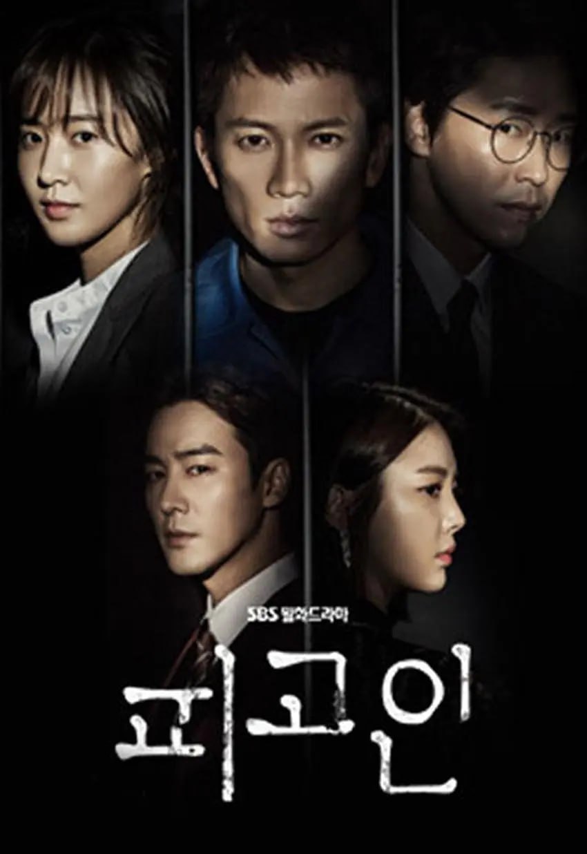 被告人 피고인 (2017)