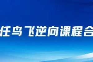 2025任鸟飞逆向课程