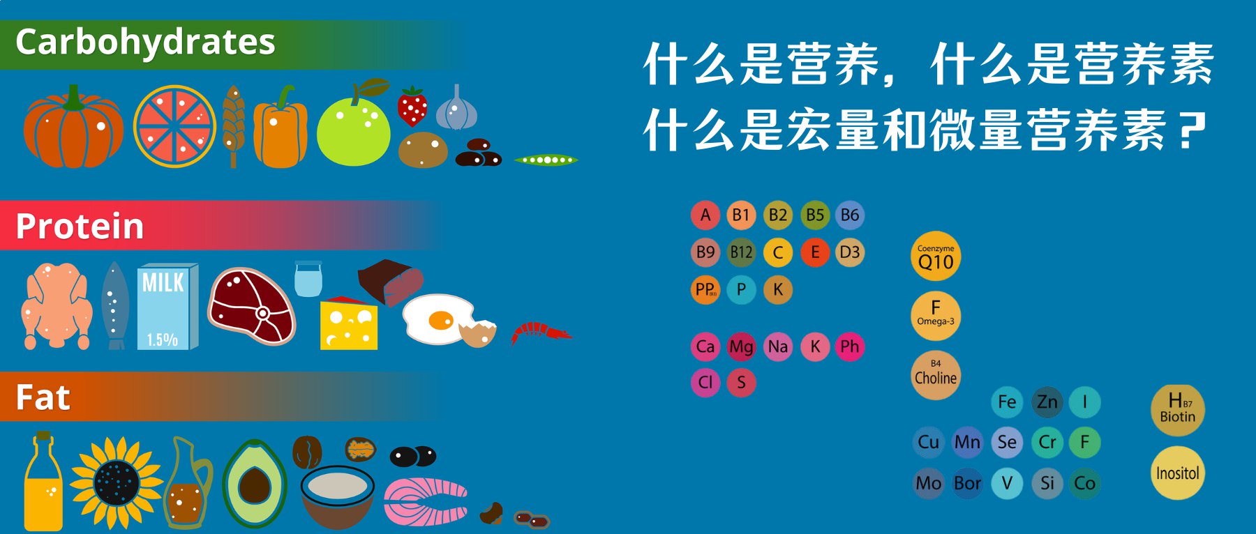 微量营养素食物强化指南