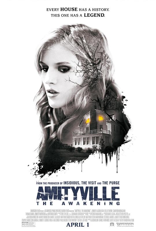 鬼哭神嚎：觉醒 Amityville: The Awakening (2017) 1080p 原盘Remux 中文字幕 已刮削