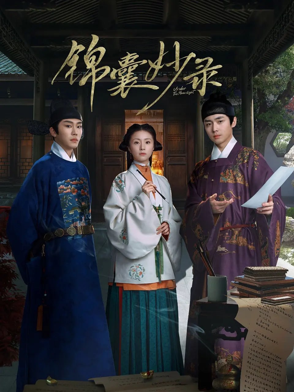 锦囊妙录 (2025)