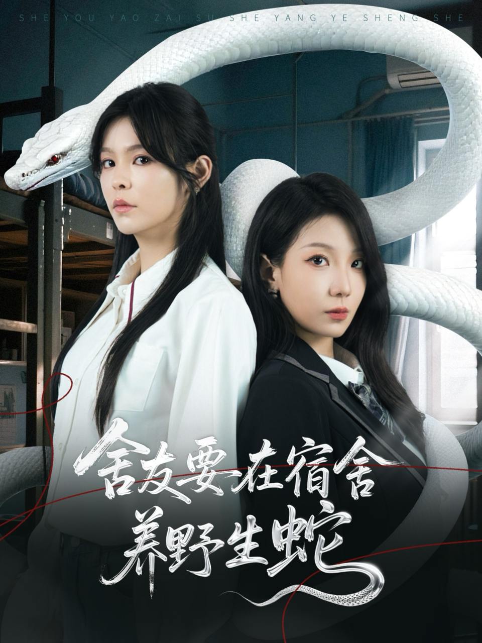 舍友要在宿舍养野生蛇（60集）邓诗韵&朱晓彤  /最新 短剧
