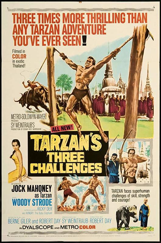 泰山的三大挑战 Tarzan's Three Challenges (1963) 1080p 原盘Remux 已刮削