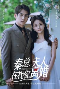 秦总夫人在找你离婚马倩倩新剧 全集来了