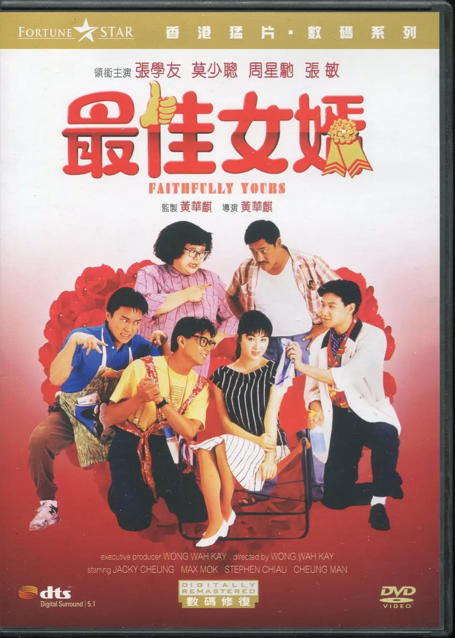 最佳女婿 (1988)