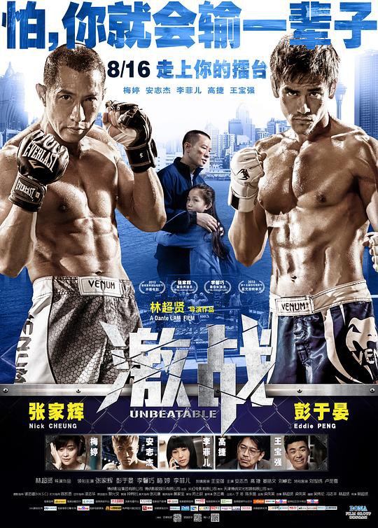 激战 激戰 (2013) 1080p 原盘Remux 中文字幕 已刮削