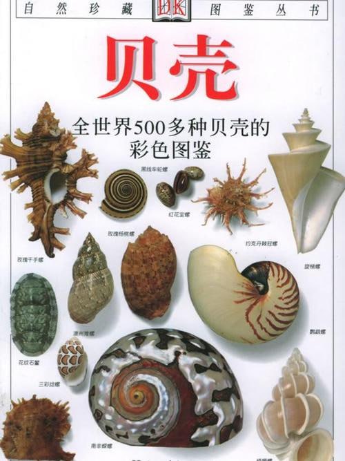 贝壳：全世界500多种贝壳的彩色图鉴