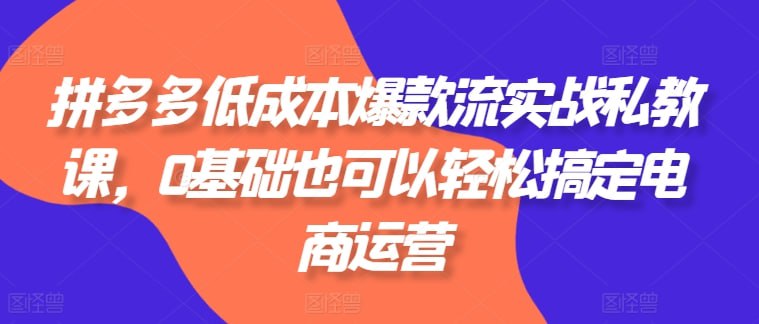 拼多多低成本爆款流实战私教课