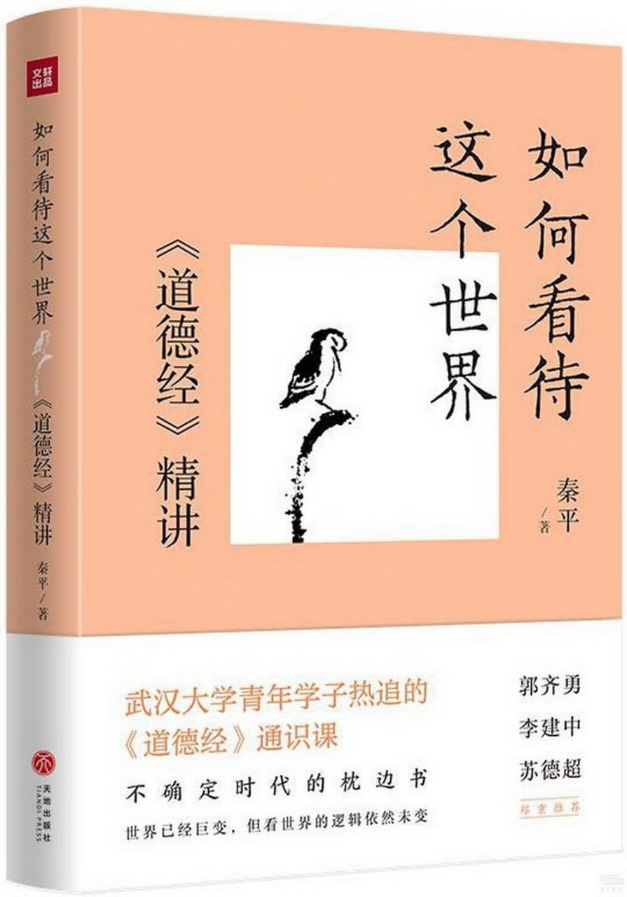 如何看待这个世界：道德经精讲