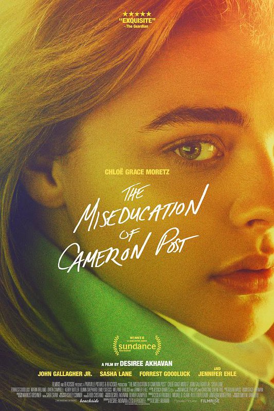错误教育 The Miseducation of Cameron Post (2018) 1080p 原盘Remux 中文字幕 已刮削