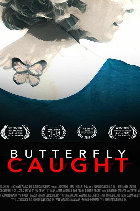折翅蝴蝶 Butterfly Caught (2017) 1080p 原盘Remux 中文字幕 已刮削