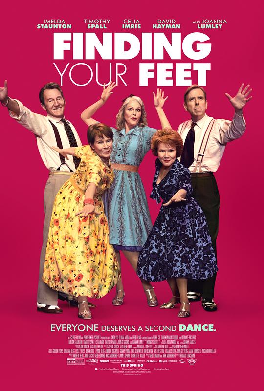 追随你脚步 Finding Your Feet (2017) 1080p 原盘Remux 中文字幕 已刮削