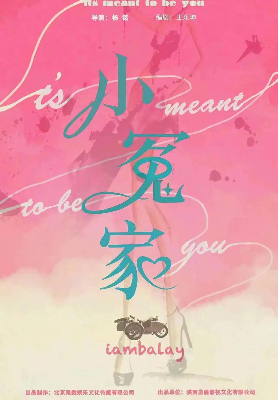 我的媳妇不好惹（小冤家）(2025)[更至19／22集]