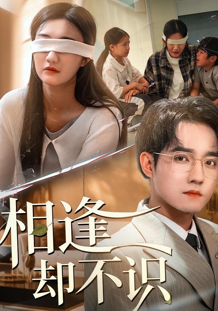 相逢却不识 (77集) 刘静阳&程汁 | 短剧