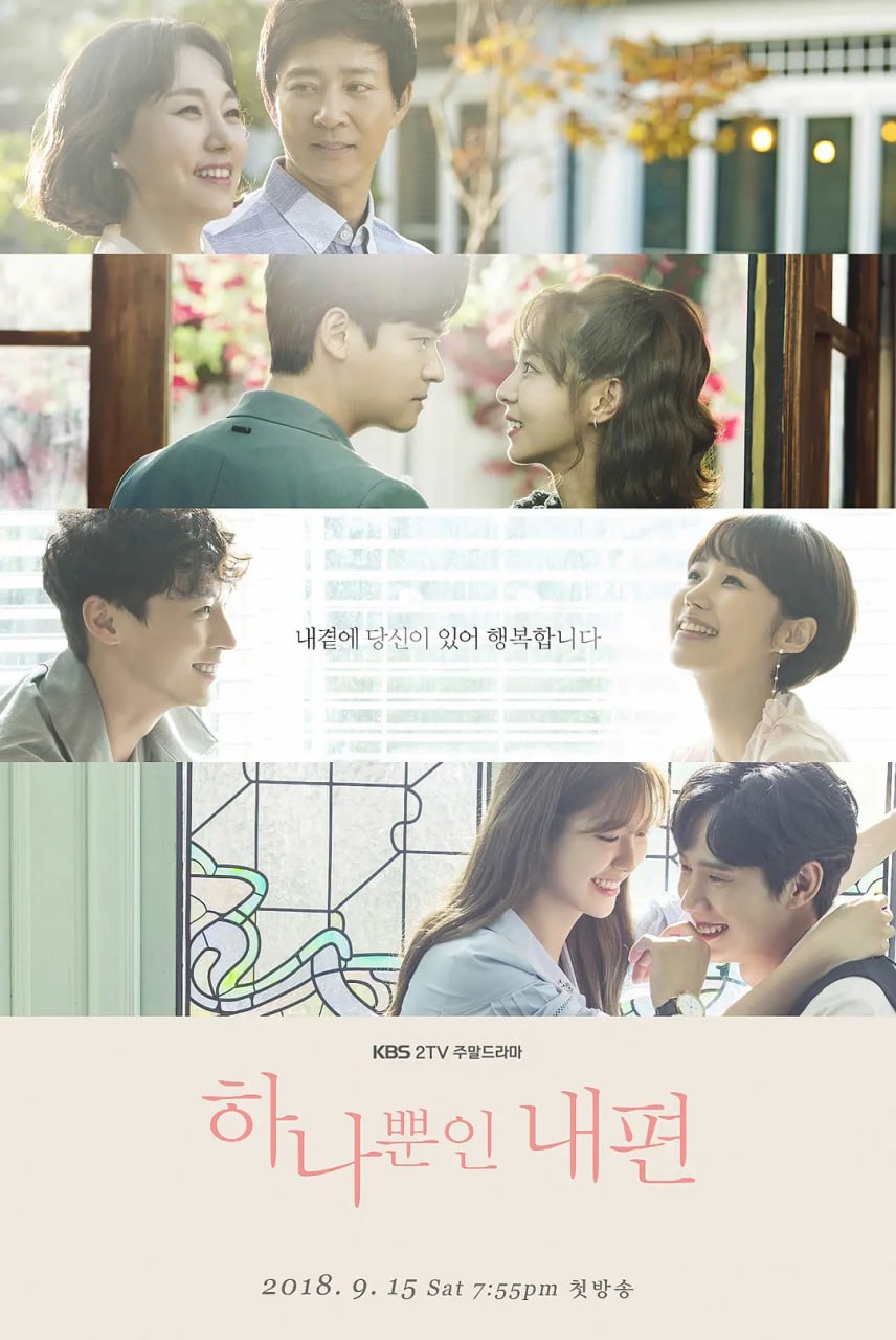 我唯一的拥护者 하나뿐인 내편 (2018)