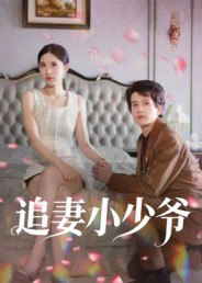 追妻小少爷（31集）曾旭航|短剧
