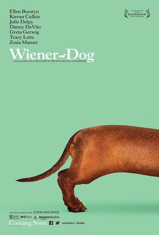 腊肠狗 Wiener-Dog (2016) 1080p 原盘Remux 中文字幕 已刮削