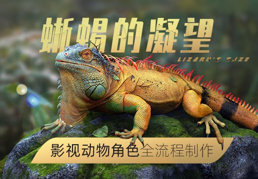 影视动物角色蜥蜴的凝望CG全流程制作教程
