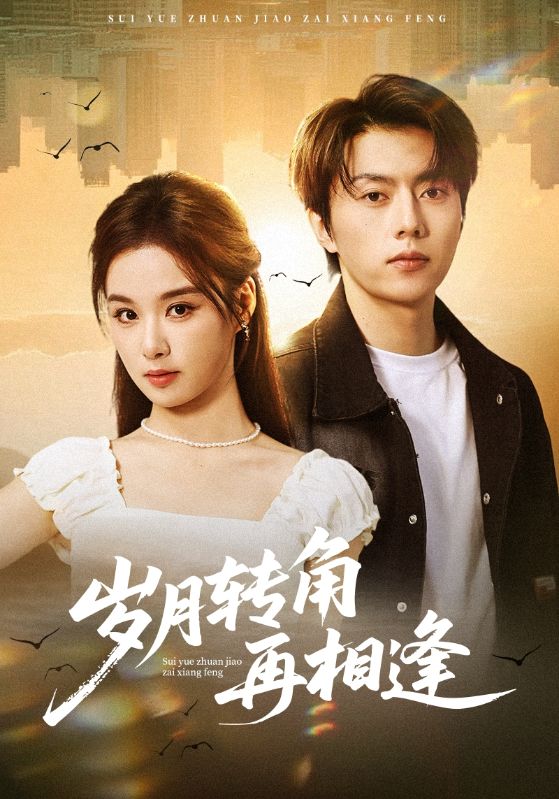 岁月转角再相逢 (80集) 张磊&王宇婧 | 短剧