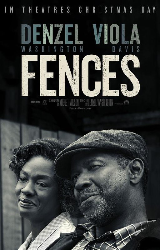 藩篱 Fences (2016) 1080p 原盘Remux 中文字幕 已刮削