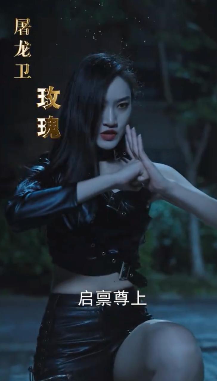 护国龙君（95集）