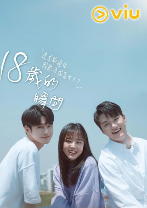 [韩剧][十八岁的瞬间][2019][全16集][韩语中字][1080P][28G]