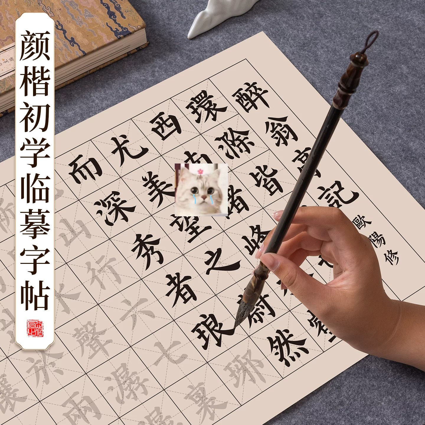张志庆 颜楷教学