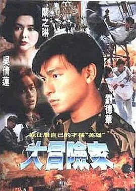 大冒险家 (1995) 1080P REMUX 国粤双音轨  中英外挂/内嵌字幕