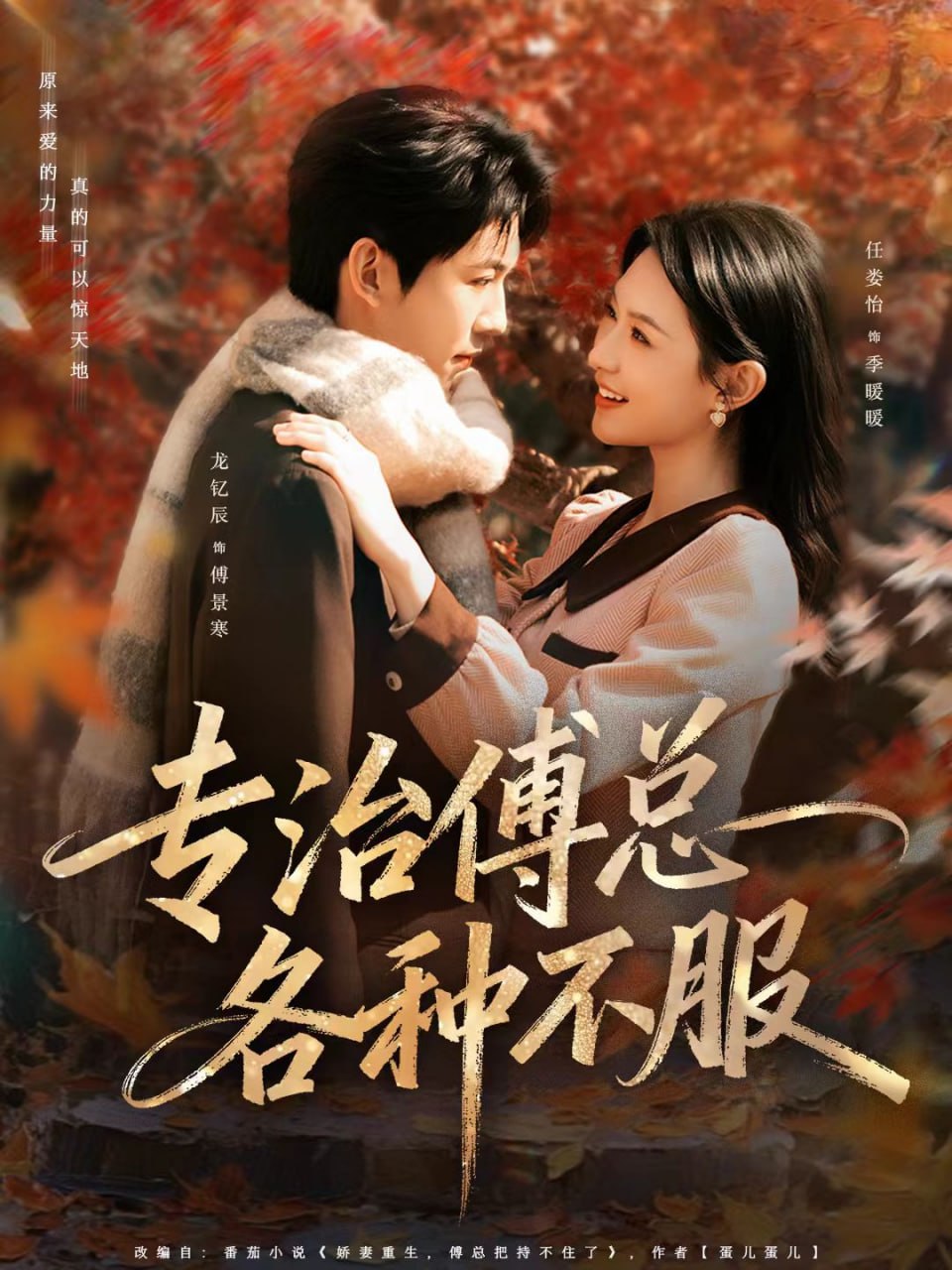 专治傅总各种不服（80集）龙钇辰＆任娄怡|短剧