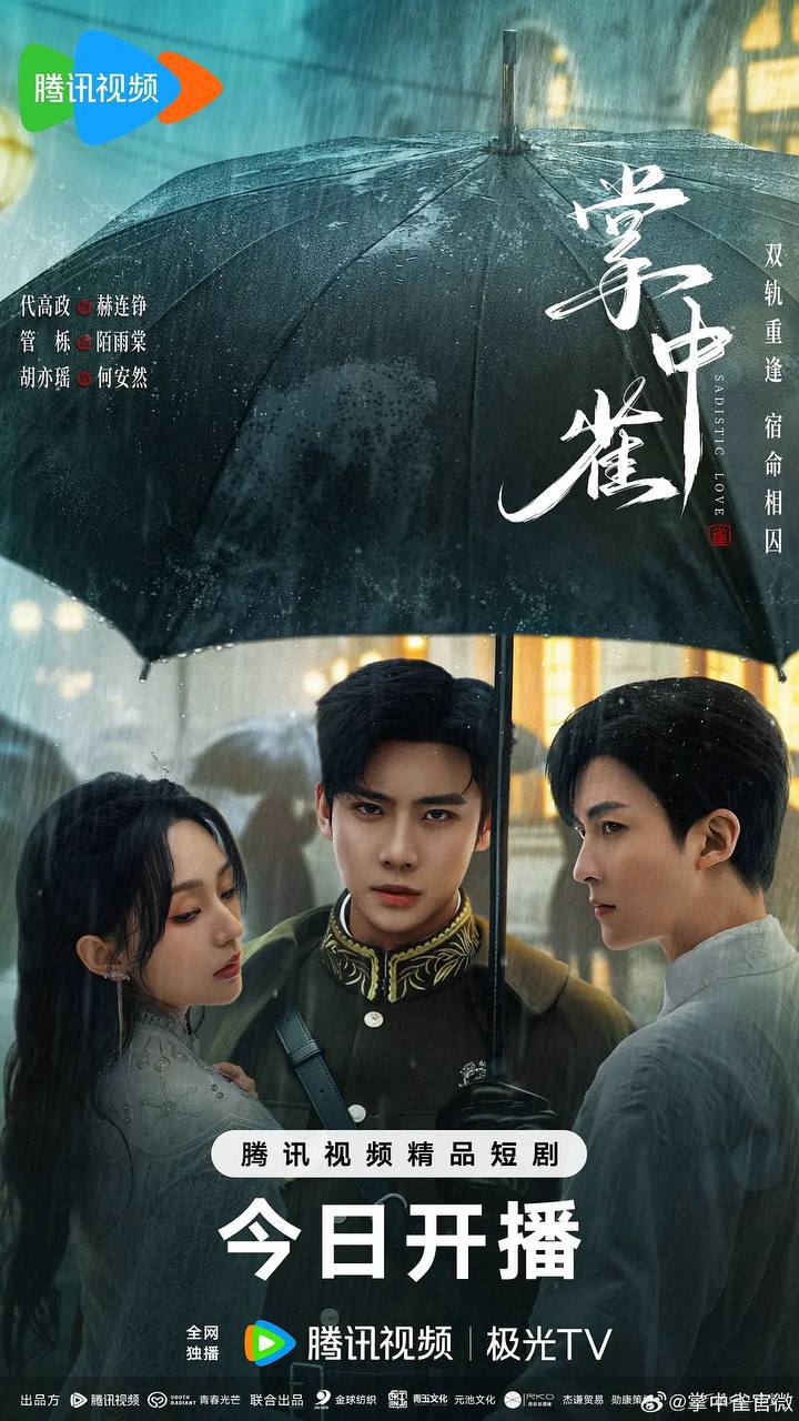 掌中雀(2025)[更至11／24集]