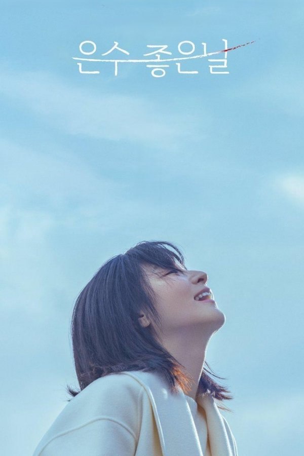 恩秀的好日子 (2025) 更至第8集 1080P · SDR · 3.5GB/集 内封中字