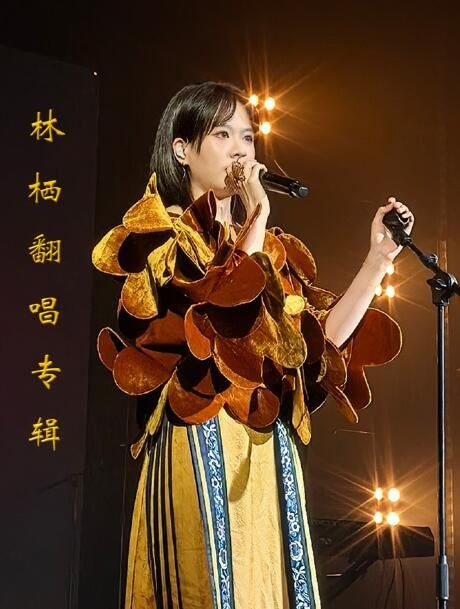 林栖林栖翻唱精选集[FLAC]