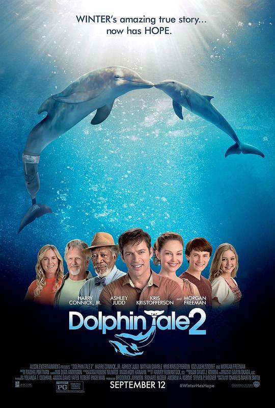 海豚的故事2 Dolphin Tale 2 (2014) 1080p 原盘Remux 中文字幕 已刮削