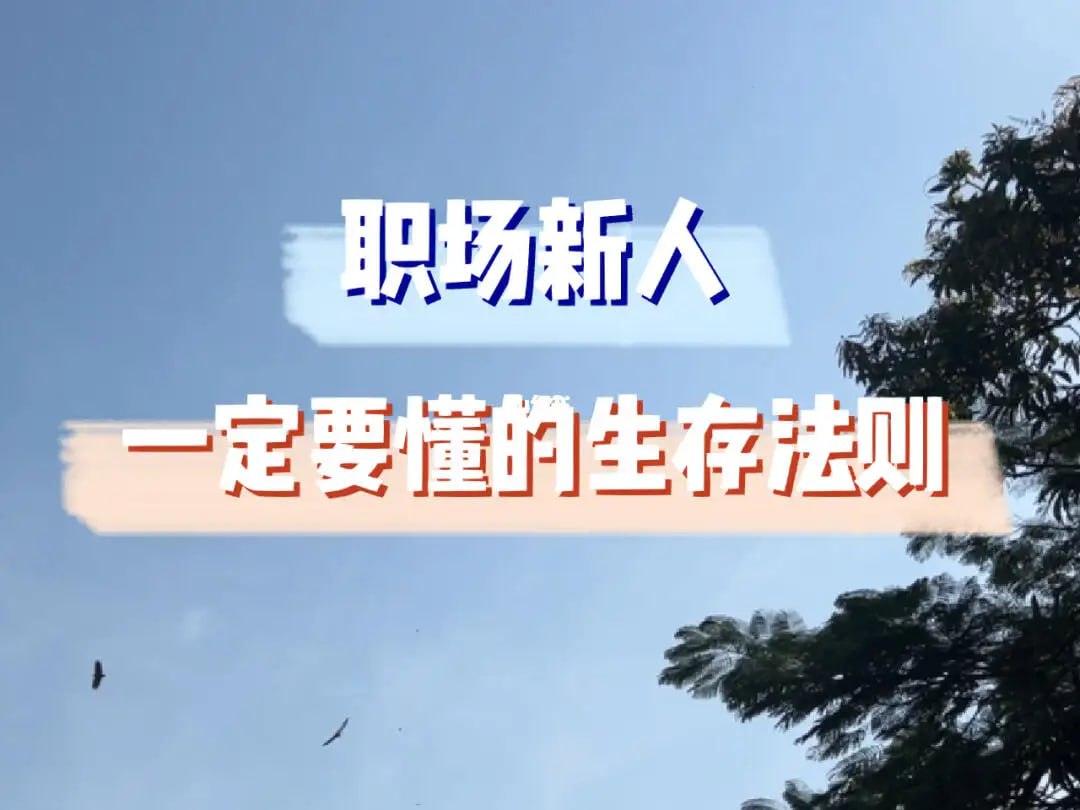 万门大学职场新人路径