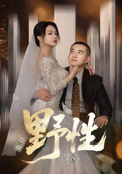 野性&分手后，顶头上司要嫁我（70集）阎论&梦露