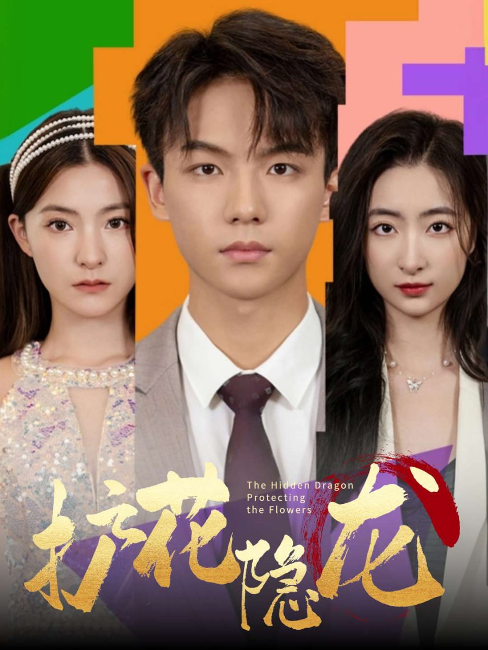 护花隐龙(100集)