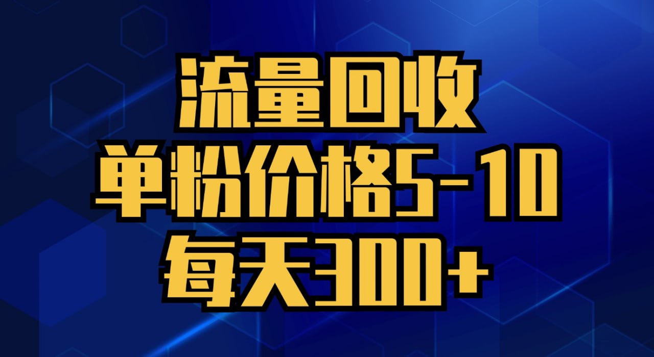流量回收，单粉价格5-10，每天300+，轻松月入五位数