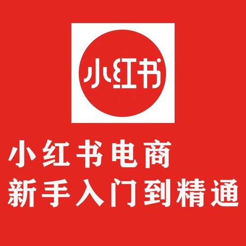 新手从入门到精通