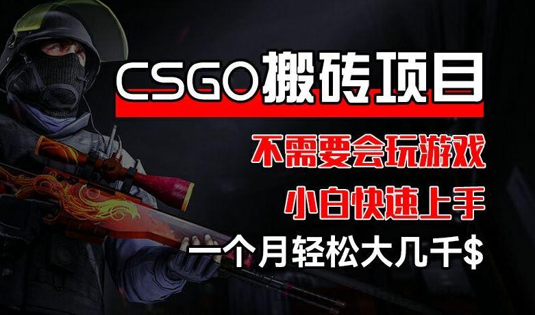 CSGO 装备搬砖项目，操作简单，不需要会玩游戏，小白也能快速上手