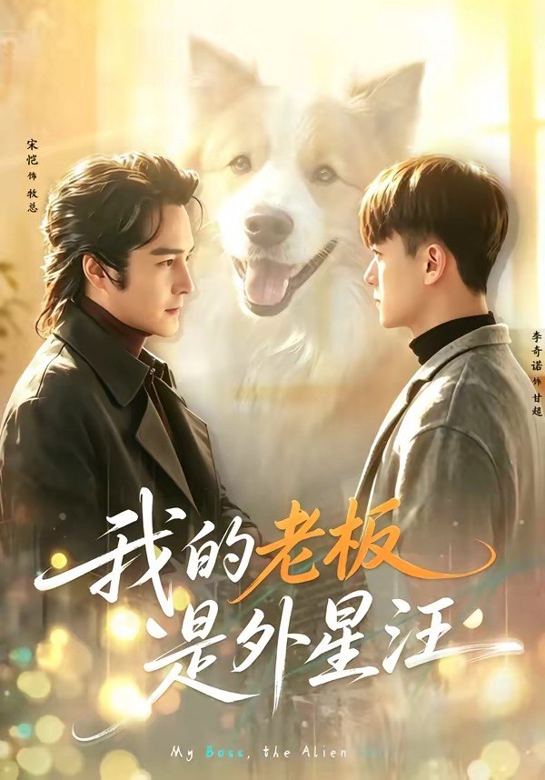我的老板是外星汪（55集）宋恺＆李奇诺|短剧