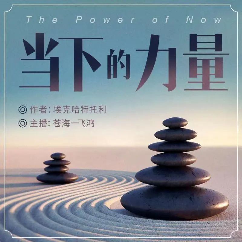 名称：有声书当下的力量主播：苍海一飞鸿 70集完