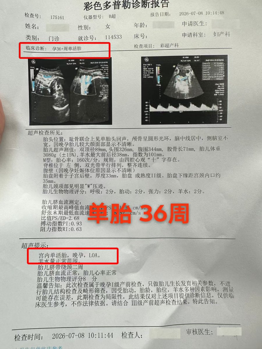 B站珍大户-认知世界的经济学（已完结）